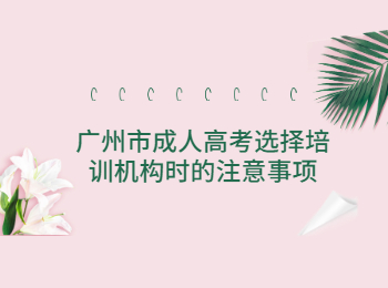 廣州市成人高考培訓機構