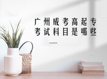 廣州成考高起專(zhuān)考試科目